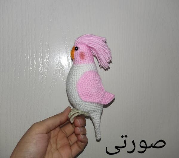 عکس عروسک عروس هلندی