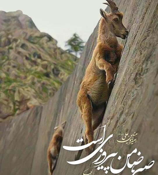 عکس نوشته حدیث صبر