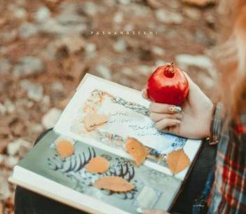 عکس لاکچری یلدا