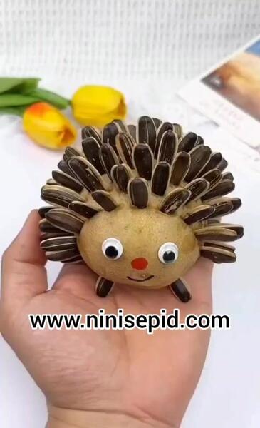 عکس جوجه تیغی برای کاردستی