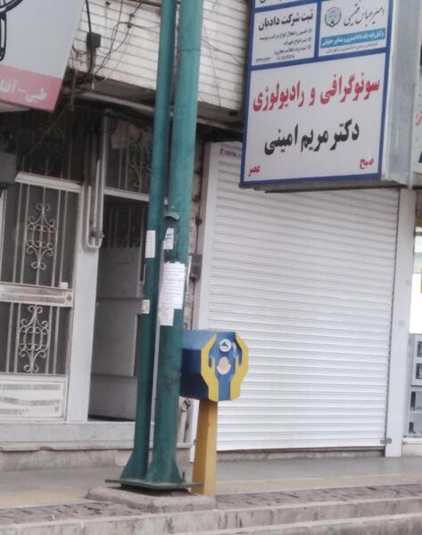 عکس مریم امینی