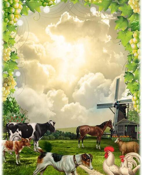 عکس گاو کودکانه