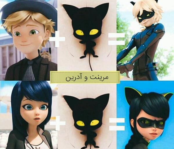 عکس کت نوار در میراکلس