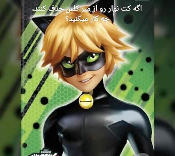 عکس کت نوار در میراکلس