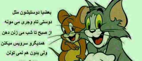 عکس دوستی تام و جری