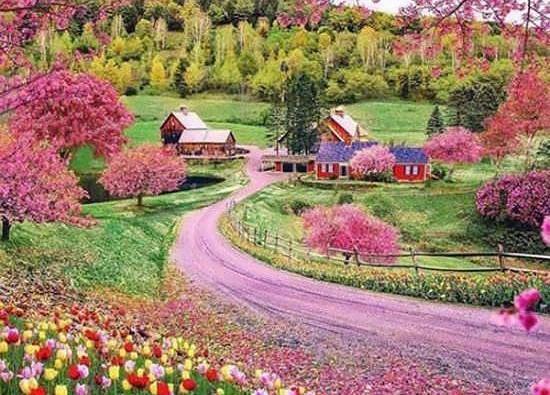 عکس پروفایل زیبا برای طبیعت
