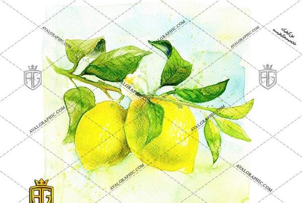 عکس نقاشی دختر لیمو