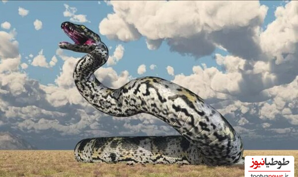 عکس سگ وحشی غول پیکر