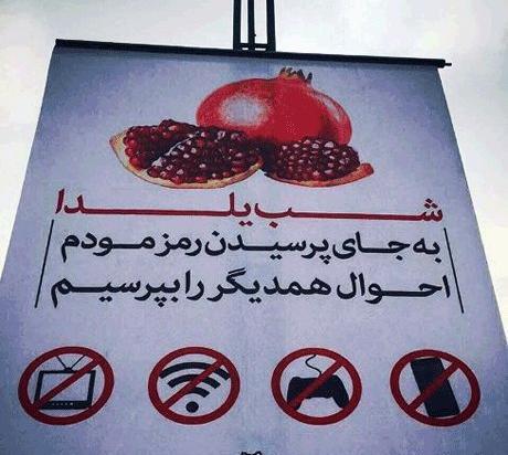 عکس شب یلدا الناز شاکردوست