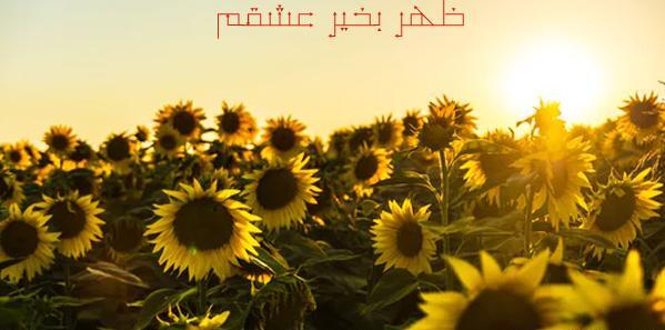 عکس تصاویر زیبای ظهر بخیر