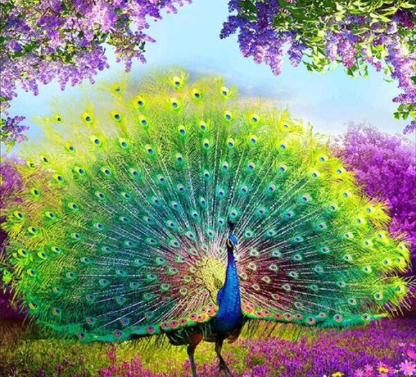 عکس طاووس در فال قهوه