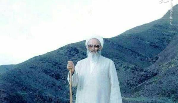 عکس حسن زاده آملی