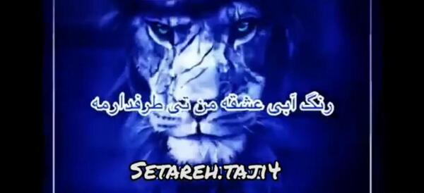 عکس استوری استقلال