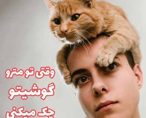 عکس خنده دار از گربه سیاه