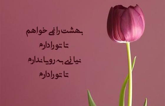 عکس رویا شاخ اینستا