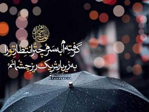 عکس نوشته ی تاجگذاری امام زمان