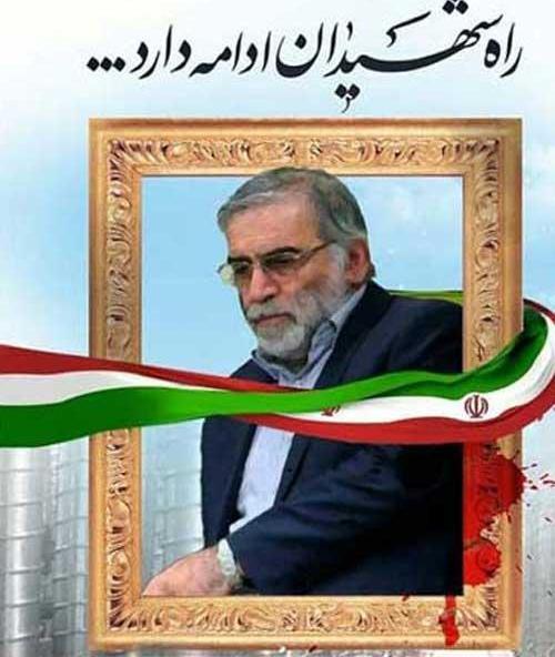 عکس محسن فخری زاده