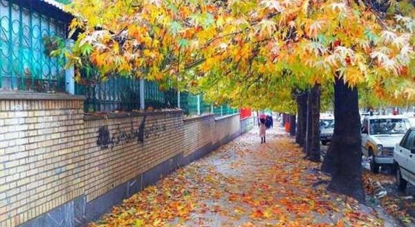عکس پاییز یاسوج