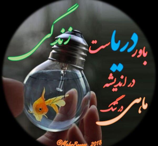 عکس نوشته ماهی قرمز باحال