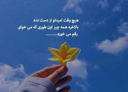 عکس امید طوری