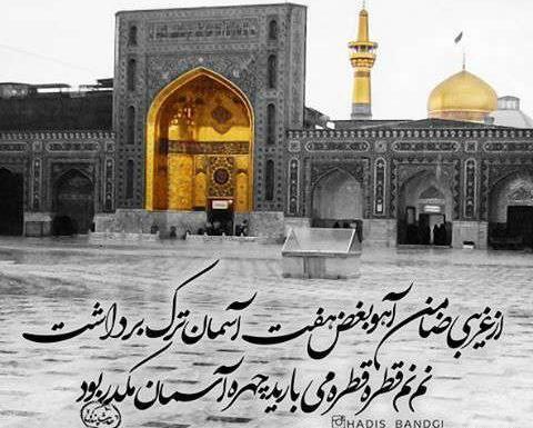 عکسی از ضامن آهو