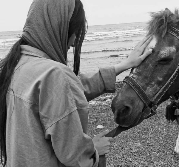 عکس اسب سفید برای پروفایل