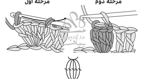 عکس بافت دانه ذرتی