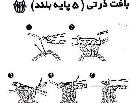 عکس بافت دانه ذرتی