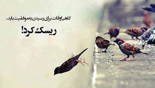 عکس بچه ثروتمند