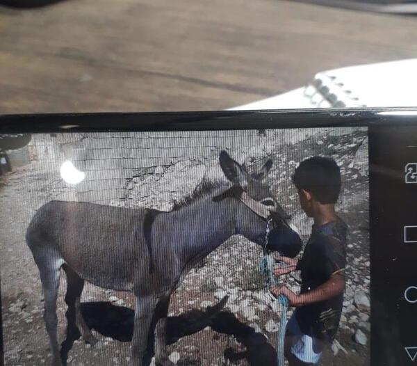 عکس بچه ثروتمند