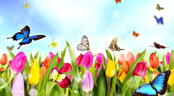 عکس کارتونی طبیعت بهار