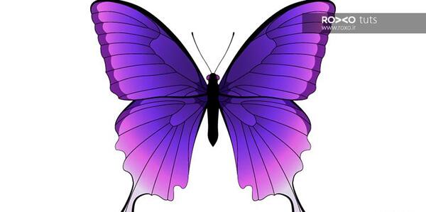 عکس پروانه قرینه