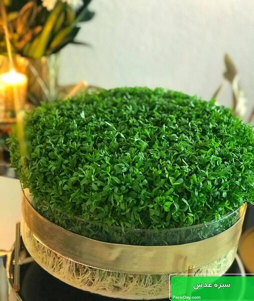 عکس های سبزه ی عید