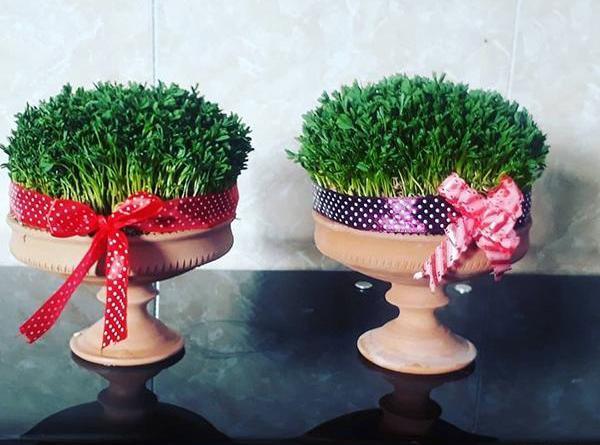 عکس های سبزه ی عید