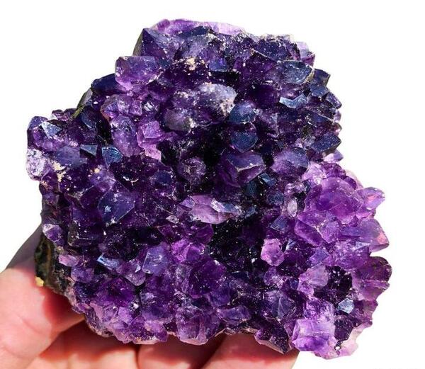 عکس قرمز ارغوانی