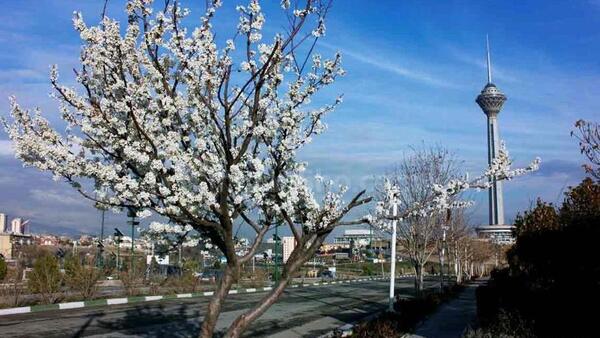 عکس بهار آمده