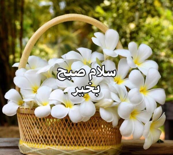 عکس نوشته صبح بخیر جذاب