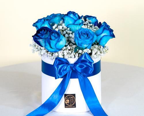 عکس گل رز آبی واقعی