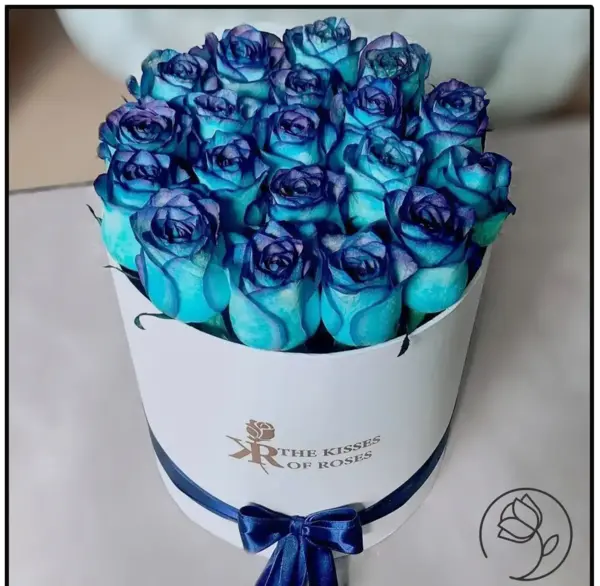عکس گل رز آبی واقعی