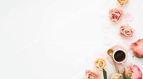 عکس گل رز آبی واقعی