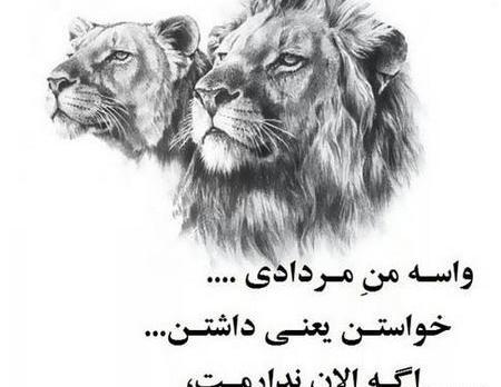 عکس پروفایل پسر مردادی