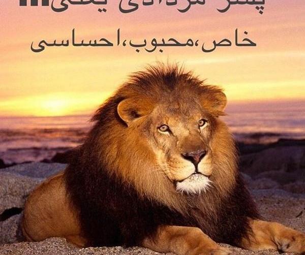 عکس پروفایل پسر مردادی