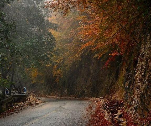عکس جاده پاییزی