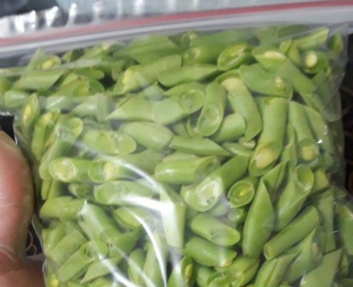 عکس لوبیا سبز شده