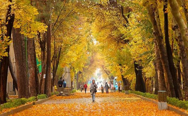 عکس یهویی پاییز