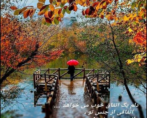 عکس یهویی پاییز
