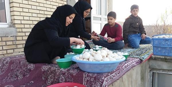 عکس ایده های ناب روستایی