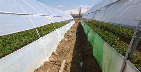عکس ایده های ناب روستایی