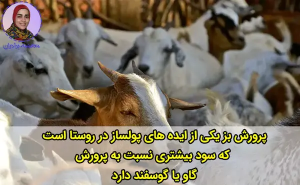 عکس ایده های ناب روستایی