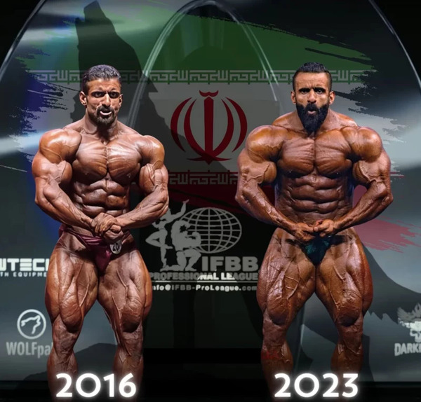 عکس نقاشی هادی چوپان